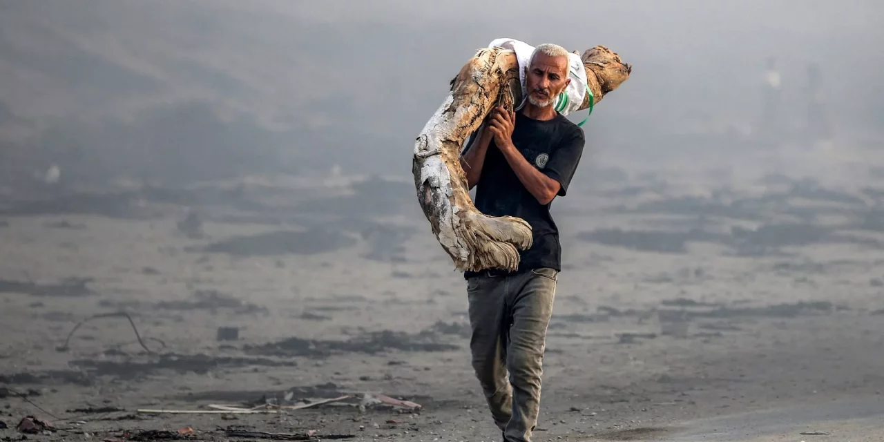 "La responsabilidad no es del ocupante, es del ocupado"